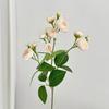 12 Head Artificial Peony Flower Bouquet Realistic Faux Silk Peony Floral Arrangement for Home Wedding Table Decoration