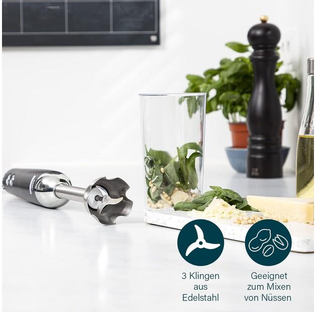 Immersion Blender Princess 221229 (01.221229.01.001)