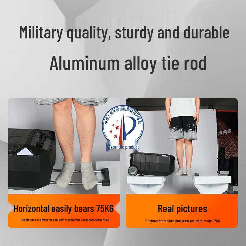 Shanshui D12 Portable Outdoor KTV Trolley Speaker CN Plug (adapter Included)