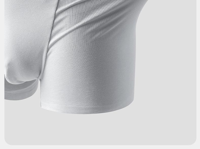Men's Seamless Underwear