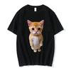 El Gato Meme Sad Crying Cat Munchkin Kitty Meme Trendy Graphic T-shirt Unisex Fashion Short Sleeve Oversized Streetwear