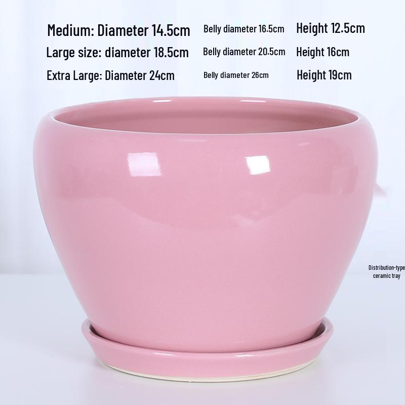 White Ceramic Orchid Pot, Large Elegant Design for Living Room