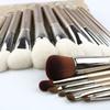 AME - Set of 18: Make Up Brushes + Pouch