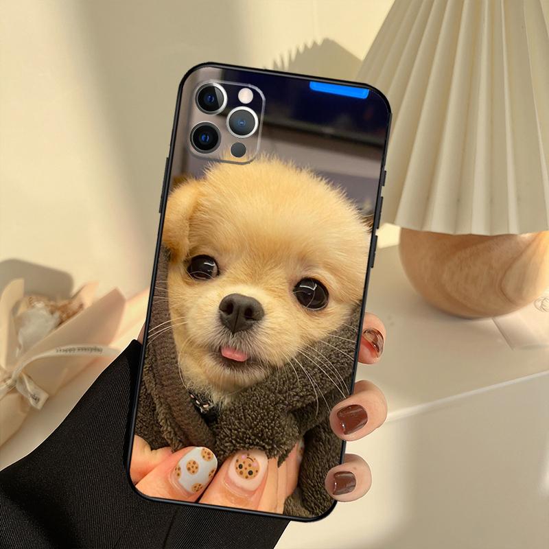 

Pomeranian Dogs Dog Colorful Phone Case For iPhone 13 16 15 11 12 14 17 Pro Max 12 mini 15 16 Plus 16e 17 Air Cover Funda iPhone 15 Pro