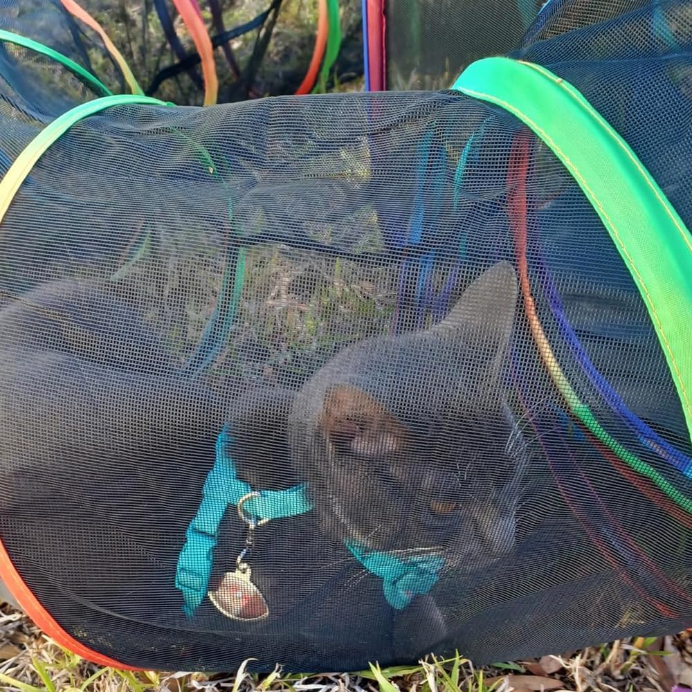 Outdoor Cat Outdoor Cat Cat 120cm Pet House 315cm Portable Rainbow Hexagonal Large Cat Enclosure with Carry Indoor Small Animal Playpen Maternity Room