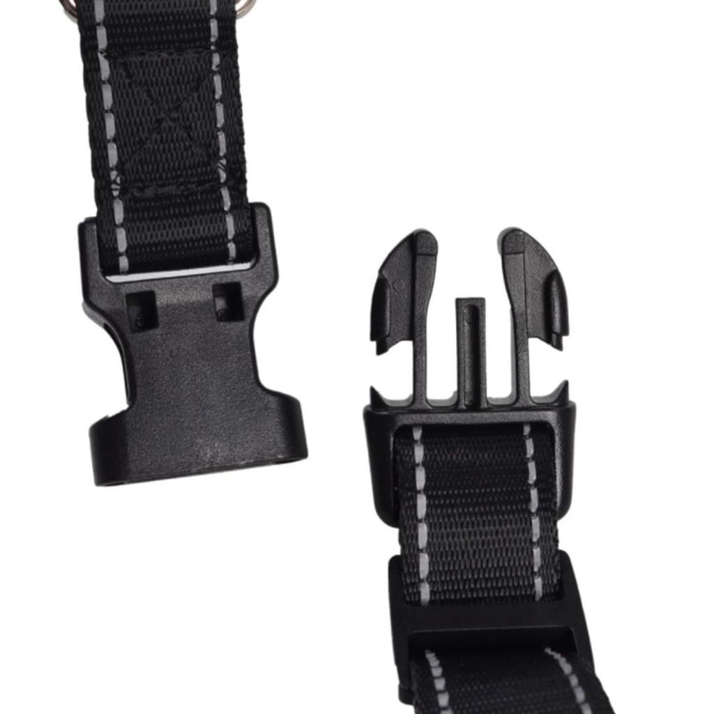 solar powered dog collar