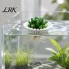 Floating Fish Tank Plant Holder 3D Printed Aquarium Holder, Water Hydroponic Planter Basket, Decor Container Pot, Aquascape Decoration for Plants