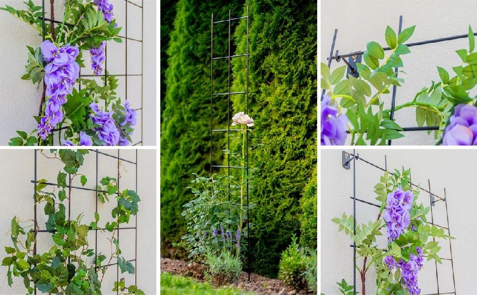 KADAX Grilaj Pergola de Grădină pentru Plante Agățătoare