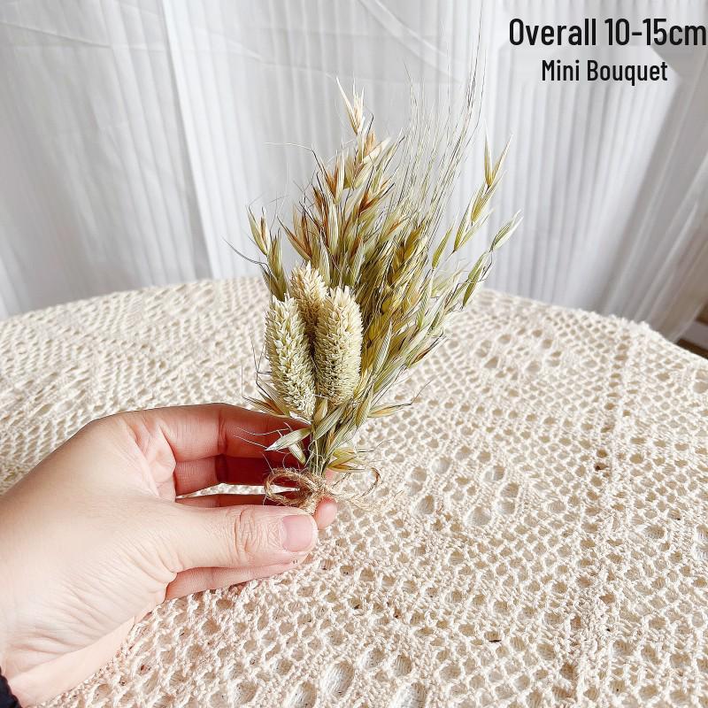 Mini Dried Flower Bouquet: Natural Air-Preserved Flowers Gift Box for DIY Decor and Handmade Ornaments.