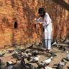 Jachetă de protecție solară de vară pentru femei, bluză pentru femei, cămașă pentru femei, cardigan larg și respirabil