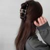 Spring and Summer 2025 New Ins Cold Wind Metal Hairpin Back Head Grab Clip Shark Clip
