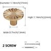 10 Pack Kitchen Cabinet Knobs Champagne Bronze Cabinet Zinc Alloy Knobs Gold Drawer Knobs Kitchen Hardware