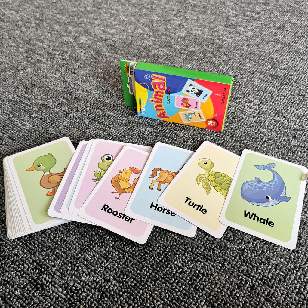 C3 Kids' Early Education Color Flash Cards - Hanging Box Set