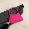 High-value Bag 2025 New Trendy Women's Bag Spring and Summer Simple and Versatile Shoulder Bag Texture Niche Underarm Bag
