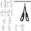 Biceps Training Double Head Pulling Strap Pilates Muscle Fitness Accessories Lower Waist Rope Fitness Arm Rope