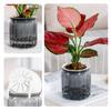 Self Watering Flowerpot Transparent Plastic Flower Vase Automatic Tabletop Lazy Hydroponic Succulent Plant Pot Household Workspace Decoration