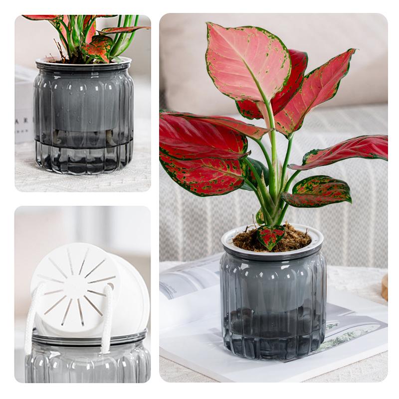 Self Watering Flowerpot Transparent Plastic Flower Vase Automatic Tabletop Lazy Hydroponic Succulent Plant Pot Household Workspace Decoration