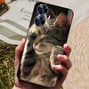 Per Custodia Realme C55 Silicone Morbido TPU Cover Posteriore per Oppo Realme C55 Telefono Globale Custodie Realme C 55 4G 6.72" Protezione Cover Borse