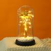 Mother's Day Gift Glass Cover Eternal Flower for Mother To Keep Long Carnation Night Light Tabletop Ornament
