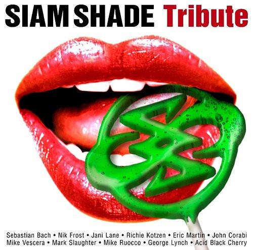 

CD VARIOUS - SIAM SHADE Tribute SICL248 Sony Music 2010 Japan ObiRock Used