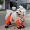 Dog Boot Leggings, Dog Boots - Dog Shoes, Pet Protector For Small Medium Dogs