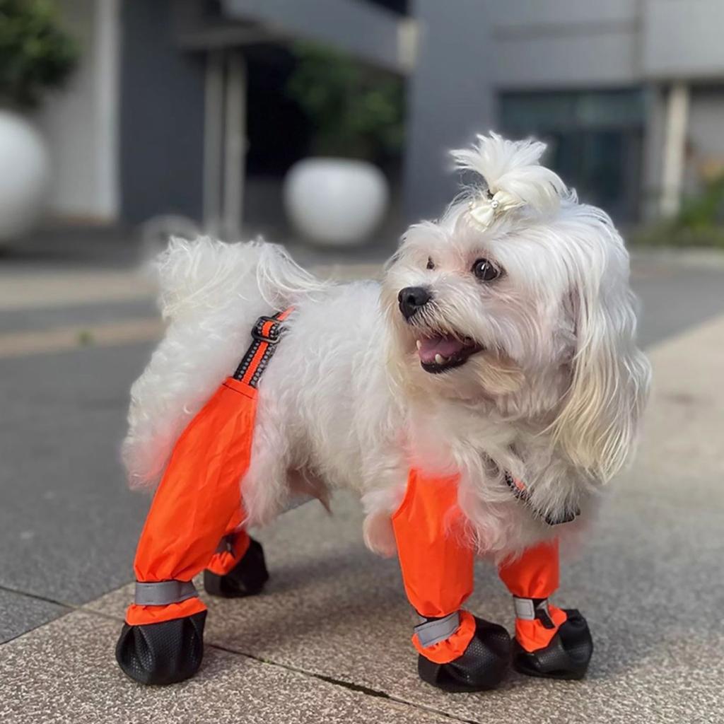 Dog Boot Leggings, Dog Boots - Dog Shoes, Pet Protector For Small Medium Dogs