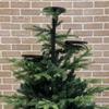 Black Triple Tree Topper Candelabra - Christmas Tree Decoration