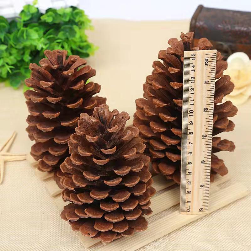 Christmas Pine Cones & Dried Flowers Pack - Eucalyptus, Pine Wood, Cotton, Handmade Photography Props