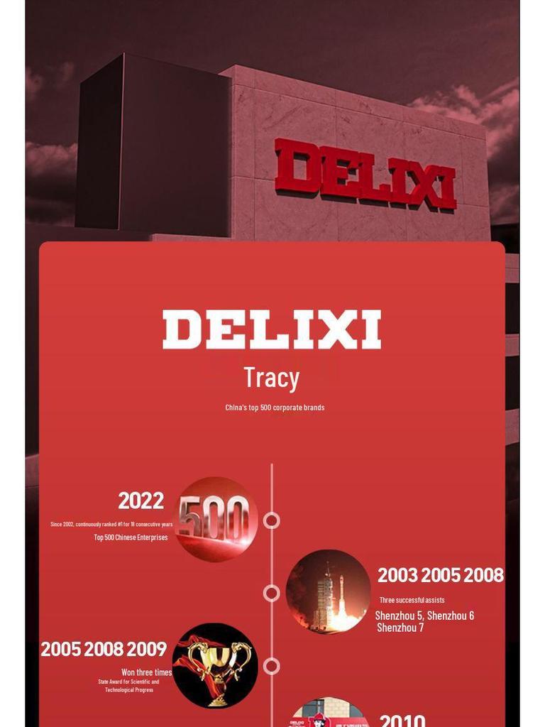 Delixi 220V Handheld Multifunction Drill & Electric Screwdriver
