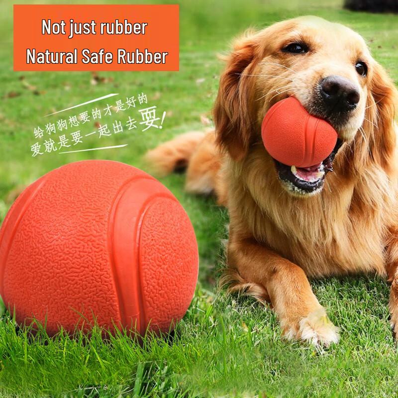 

Durable Dog Chew Toy Ball