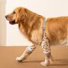 Orthèse de coude réglable pour chien Genouillère pour animal de compagnie Protecteur pour patte avant Manchon de récupération pour animal de compagnie Support pour coude/épaule canine