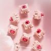 CHERRY MX Petal Switch 30g Light Pressure Tactile 5pin Switches for Mechanical Keyboard Fine Lubrication Golden Contact 4.0mm