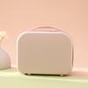 DCLOUD Mini Cosmetic Case