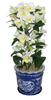 Artificial Orchid Design Photocatalyst Interior Flower Phalaenopsis/Western "Traditional Style/Blue Pot" (Air Purifier) (Dendrobium-S3 Stem/White