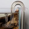 Aquariums Surface Skimmer Clear Tube for Filter Filtration for Oil Protein Scums Dust Filter Drain Tube Pipe
