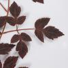Artificial Maple and Leaf Branches for Thanksgiving Halloween Home Decor
