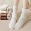 Winter Coral Fleece Thick Socks Women's Medium Tube Fleece Thickened Warm Cold-resistant Northern Plush Socks Floor Sleeping Women's Socks