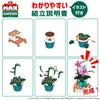 ZURU Max Premium Garden Pot Phalaenopsis Miniature Block Collection Capsule Authentic Plants 169-Piece Toy,