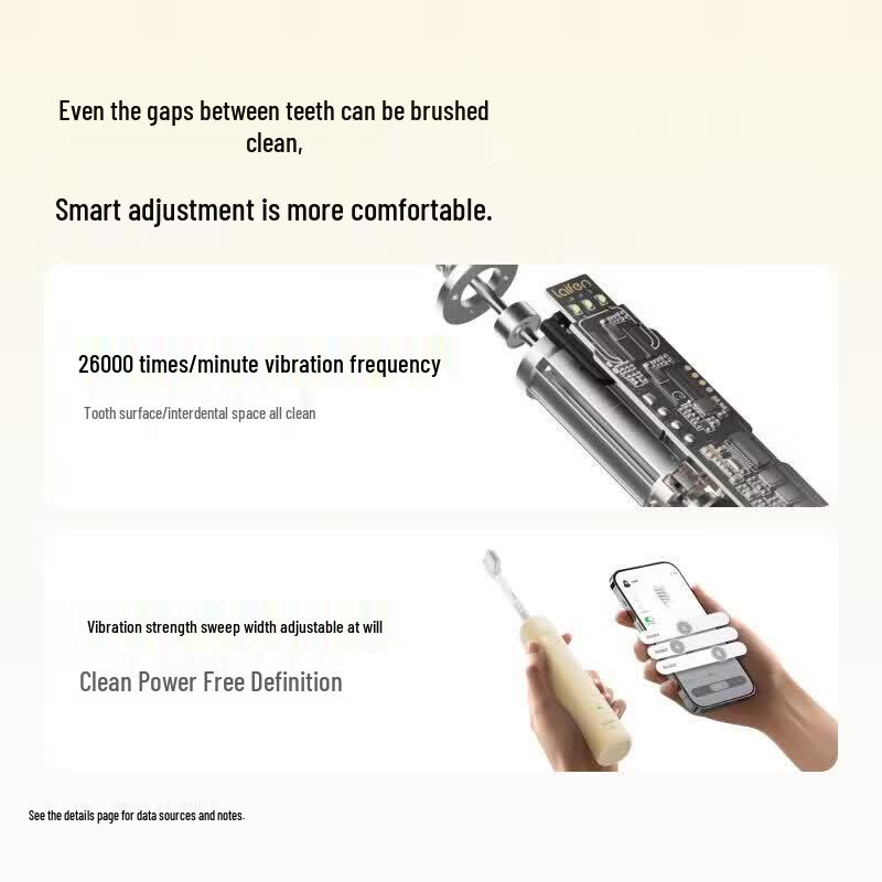 LAIFEN SE Sweep-Vibration Electric Toothbrush CN plug (adapter included)