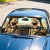 Fun Windscreen Sunshade Universal Foldable Front Window Sunshade UV Rays And Heat Cute Windscreen Cover
