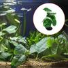 Fish Tanks Plant Artificial Leaf Crafts Simulation Landscape Leaf Plant Landscaping Decorative Plant
