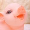 Cartoon Pig Piggy Bank Cute Zodiac Pig Ornaments Large Capacity Animal Saving Box  Home Decor