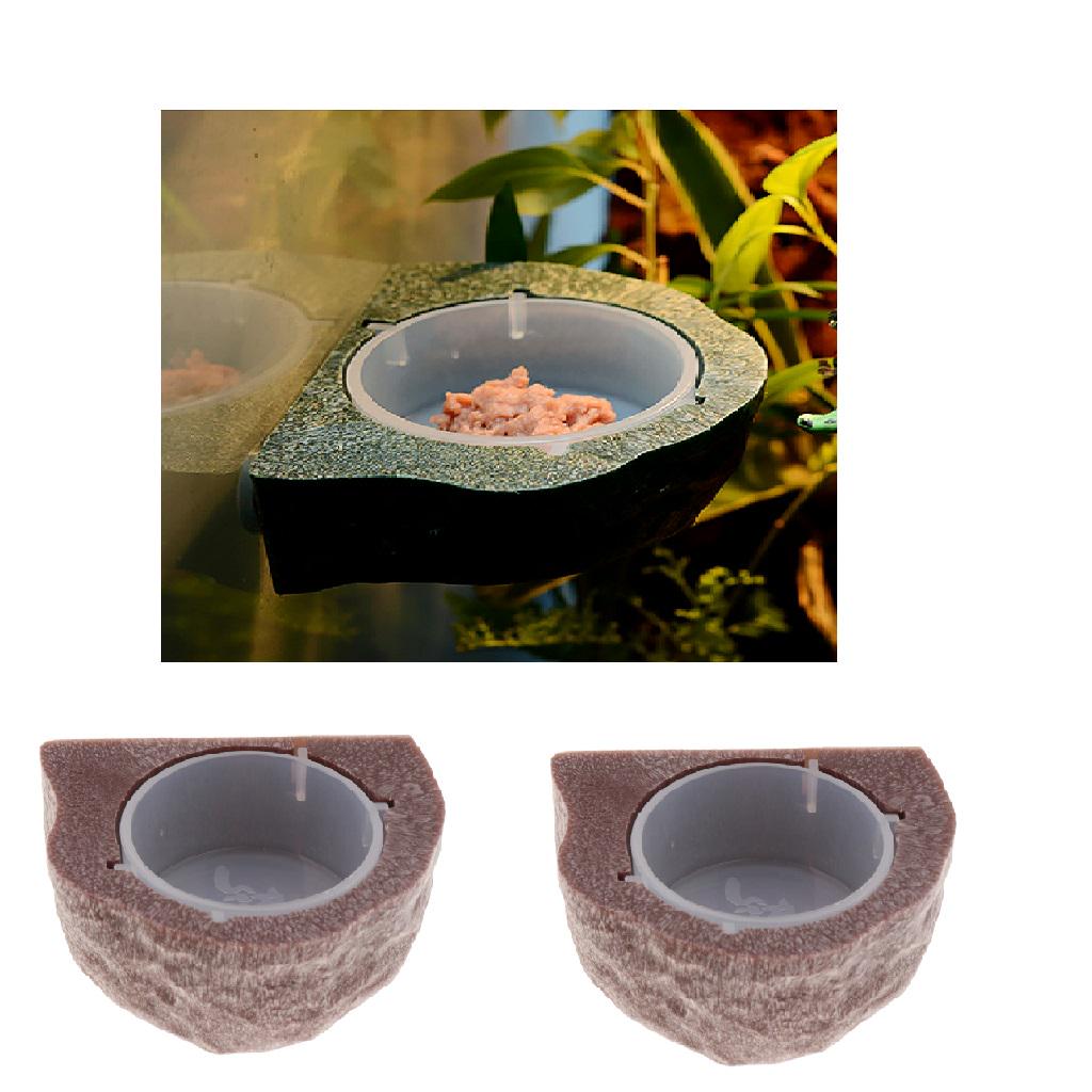 gecko ledge feeder