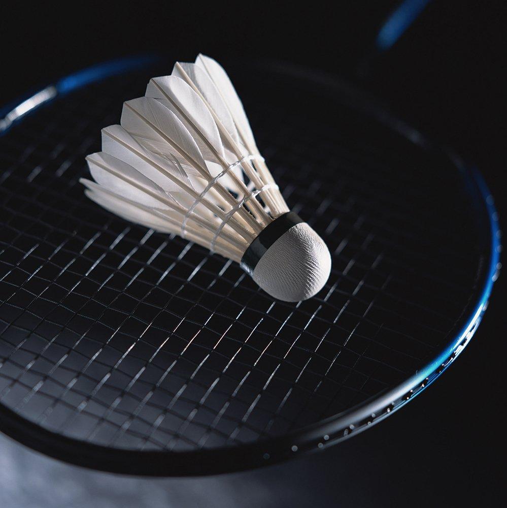 ERIKO high stability and durable badminton shuttlecock model 12 goose feather badminton sold by 10, shuttlecock, "CHEN KEJIE