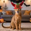 Adjustable Halloween Pet Hat Pumpkin Cat Cosplay Hat Cat Headwear Dog Dress Up Cap  Halloween Decor