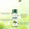 Biotique Cucumber Toner For Pore Tightening 120ml | Natural pH Balance | Oil Control | Botanical Extracts | Oily Skin Care