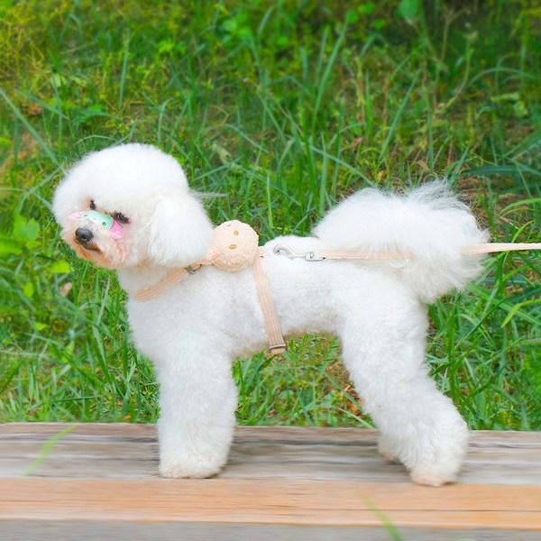 Pastel Pet Puppy Tosuni Harness + Leash Set, Beige (harness), Beige (Lead)