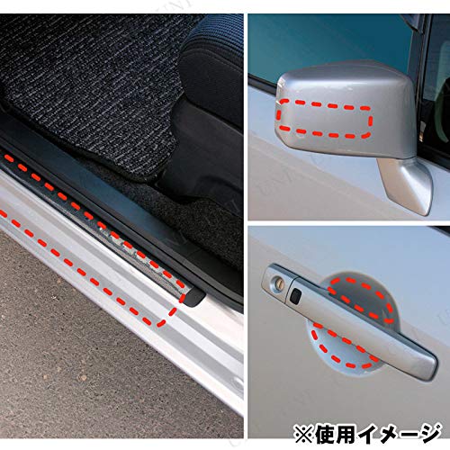 Seiko Sangyo EXEA External Car Supplies Step Guard EW-34