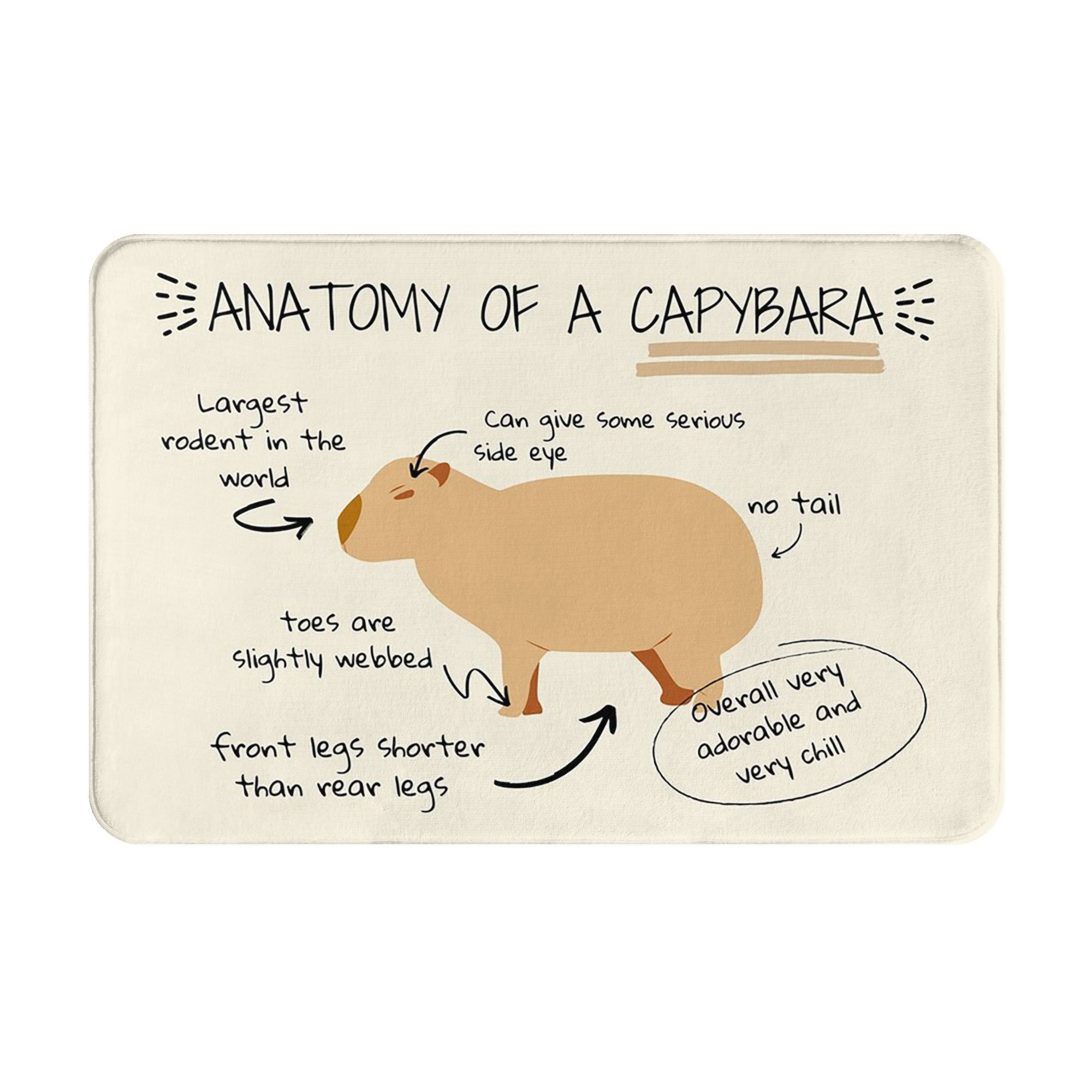 Anatomy of a capybara Anti-slip Doormat Floor Mat Absorbent Mat Carpet Rug for Kitchen Entrance Home Bedroom Footpad Mats 40cm x 60cm