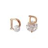 Simple Asymmetric D-shaped Earrings, Internet-famous Versatile Small Zircon Eardrops, Elegant Fashionable Light Luxury Earrings
